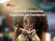 Carnaval em Portugal: Direitos Trabalhistas e Horários do Comércio